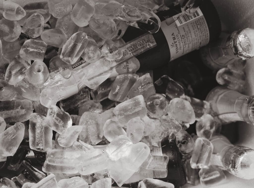 champagne bottles in ice
